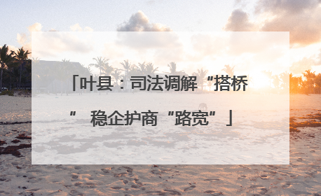 叶县：司法调解“搭桥” 稳企护商“路宽”