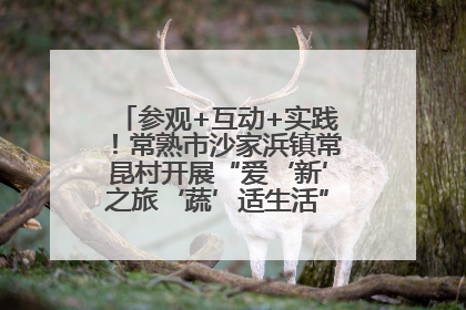 参观+互动+实践！常熟市沙家浜镇常昆村开展“爱‘新’之旅‘蔬’适生活”参观学习活动