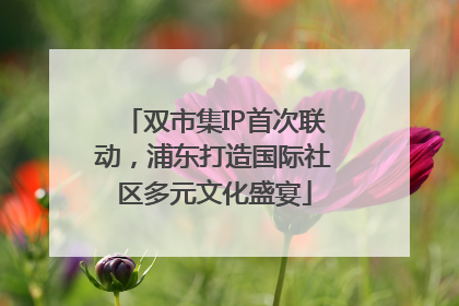 双市集IP首次联动，浦东打造国际社区多元文化盛宴