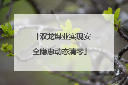双龙煤业实现安全隐患动态清零