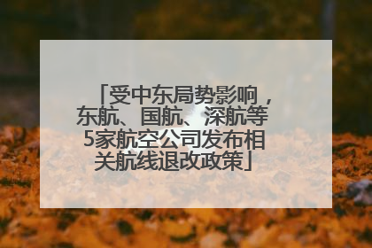 受中东局势影响，东航、国航、深航等5家航空公司发布相关航线退改政策