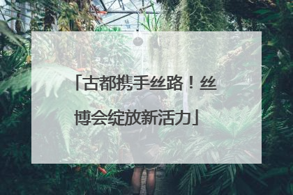 古都携手丝路！丝博会绽放新活力