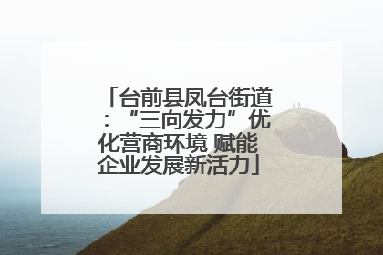 台前县凤台街道：“三向发力”优化营商环境 赋能企业发展新活力