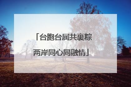 台胞台属共裹粽 两岸同心同融情