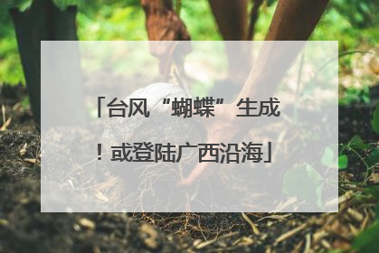 台风“蝴蝶”生成！或登陆广西沿海