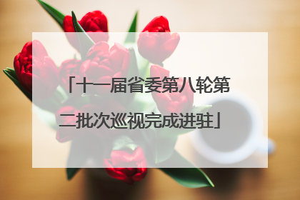 十一届省委第八轮第二批次巡视完成进驻