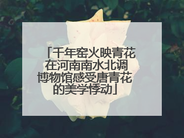 千年窑火映青花 在河南南水北调博物馆感受唐青花的美学悸动
