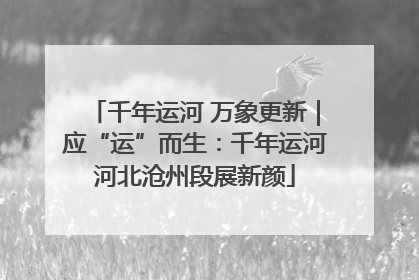 千年运河 万象更新｜应“运”而生：千年运河河北沧州段展新颜