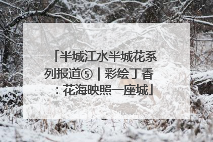 半城江水半城花系列报道⑤｜彩绘丁香：花海映照一座城