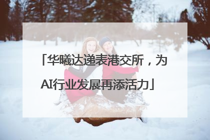 华曦达递表港交所，为AI行业发展再添活力