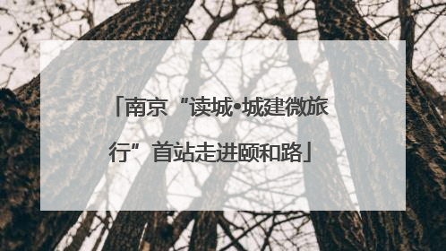南京“读城•城建微旅行”首站走进颐和路