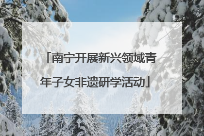 南宁开展新兴领域青年子女非遗研学活动