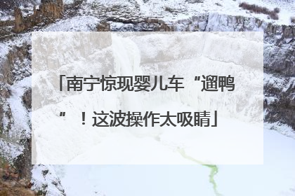 南宁惊现婴儿车“遛鸭”！这波操作太吸睛