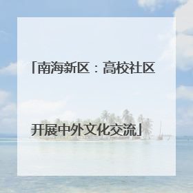 南海新区：高校社区开展中外文化交流