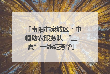 南阳市宛城区：巾帼助农服务队 “三夏”一线绽芳华