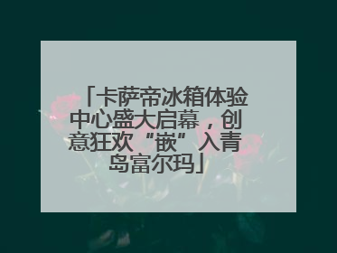 卡萨帝冰箱体验中心盛大启幕，创意狂欢“嵌”入青岛富尔玛