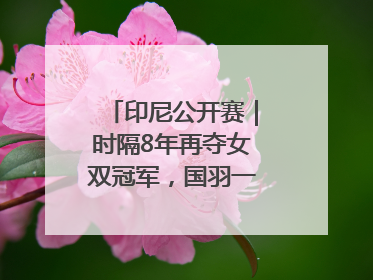 印尼公开赛｜时隔8年再夺女双冠军，国羽一金一银收官