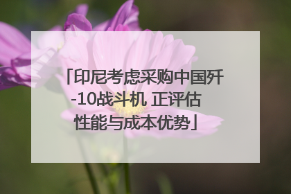 印尼考虑采购中国歼-10战斗机 正评估性能与成本优势
