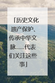 历史文化遗产保护、传承中华文脉……代表们关注这些事
