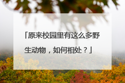 原来校园里有这么多野生动物，如何相处？