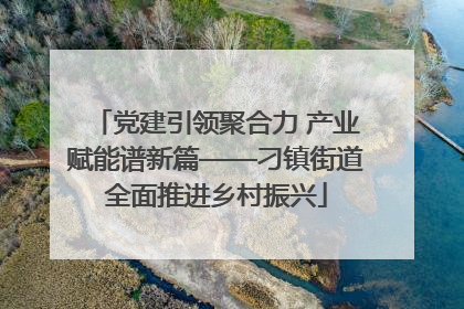 党建引领聚合力 产业赋能谱新篇——刁镇街道全面推进乡村振兴