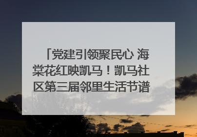 党建引领聚民心 海棠花红映凯马！凯马社区第三届邻里生活节谱写幸福新篇章