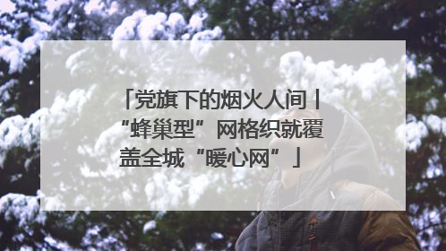 党旗下的烟火人间丨“蜂巢型”网格织就覆盖全城“暖心网”
