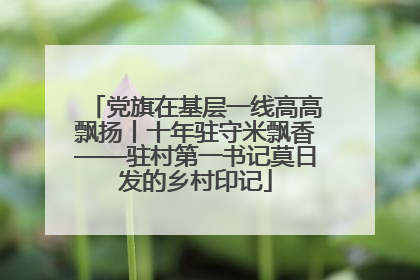 党旗在基层一线高高飘扬丨十年驻守米飘香——驻村第一书记莫日发的乡村印记