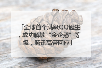 全球首个满级QQ诞生，成功解锁“金企鹅”等级，腾讯高管回应