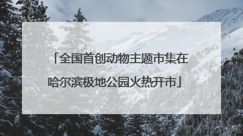 全国首创动物主题市集在哈尔滨极地公园火热开市