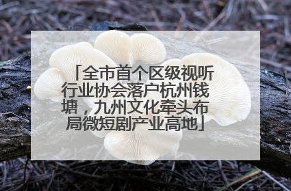 全市首个区级视听行业协会落户杭州钱塘，九州文化牵头布局微短剧产业高地