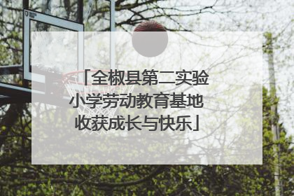 全椒县第二实验小学劳动教育基地收获成长与快乐
