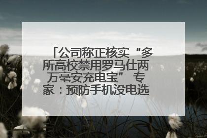 公司称正核实“多所高校禁用罗马仕两万毫安充电宝” 专家：预防手机没电选中等体积产品即可