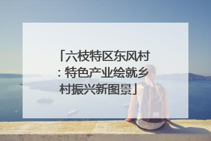 六枝特区东风村：特色产业绘就乡村振兴新图景
