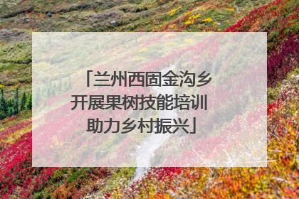 兰州西固金沟乡开展果树技能培训 助力乡村振兴