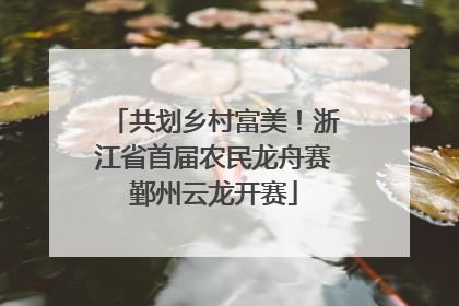 共划乡村富美！浙江省首届农民龙舟赛鄞州云龙开赛