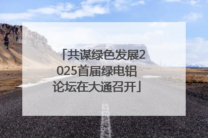 共谋绿色发展2025首届绿电铝论坛在大通召开