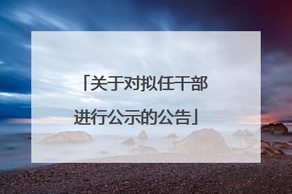 关于对拟任干部进行公示的公告