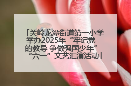关岭龙潭街道第一小学举办2025年“牢记党的教导 争做强国少年”“六一”文艺汇演活动