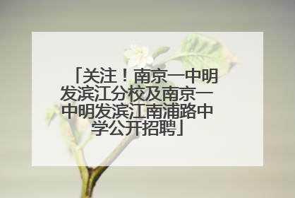 关注！南京一中明发滨江分校及南京一中明发滨江南浦路中学公开招聘