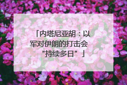 内塔尼亚胡：以军对伊朗的打击会“持续多日”