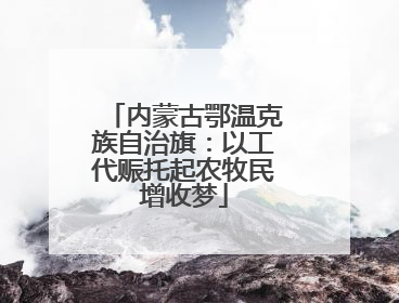 内蒙古鄂温克族自治旗：以工代赈托起农牧民增收梦
