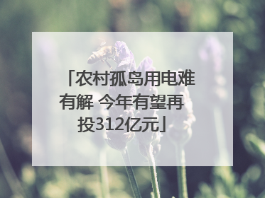 农村孤岛用电难有解 今年有望再投312亿元