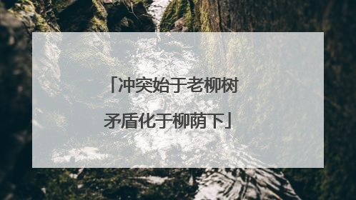冲突始于老柳树 矛盾化于柳荫下