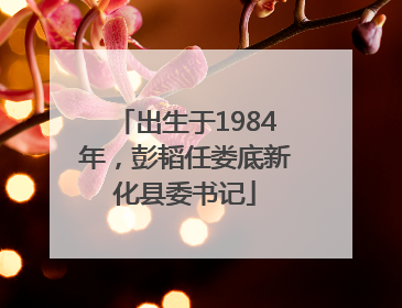 出生于1984年，彭韬任娄底新化县委书记