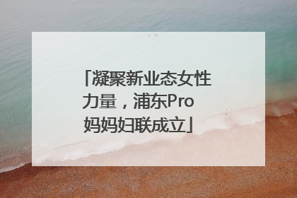 凝聚新业态女性力量，浦东Pro妈妈妇联成立