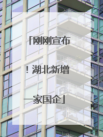 刚刚宣布！湖北新增一家国企