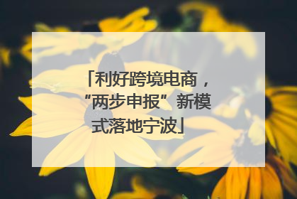 利好跨境电商，“两步申报”新模式落地宁波
