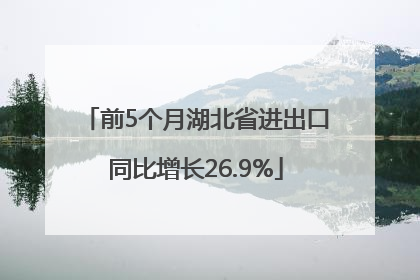 前5个月湖北省进出口同比增长26.9%