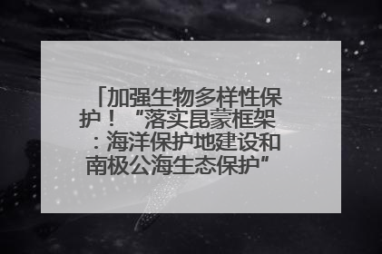加强生物多样性保护！“落实昆蒙框架：海洋保护地建设和南极公海生态保护”主题论坛将举办